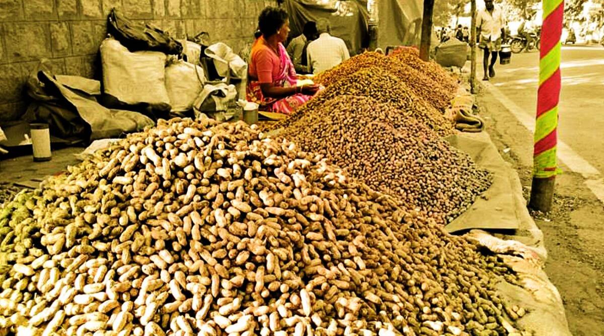 Kadalekai Parishe: Karnatakaâ€™s Groundnut Festiva