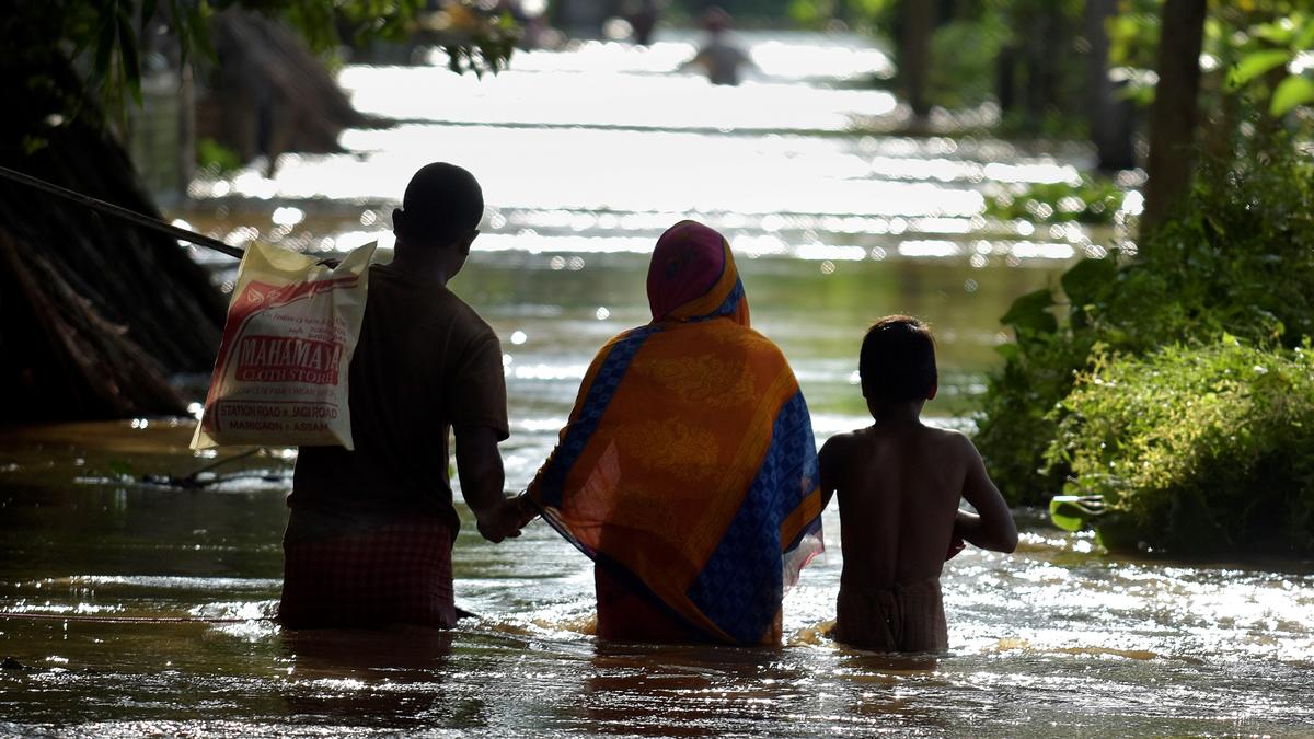 Tragic Floods and Landslides in Meghalaya Claim 10