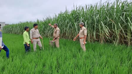 13-Year-Old Girlâ€™s Body Found in UP Sugarcane Fi