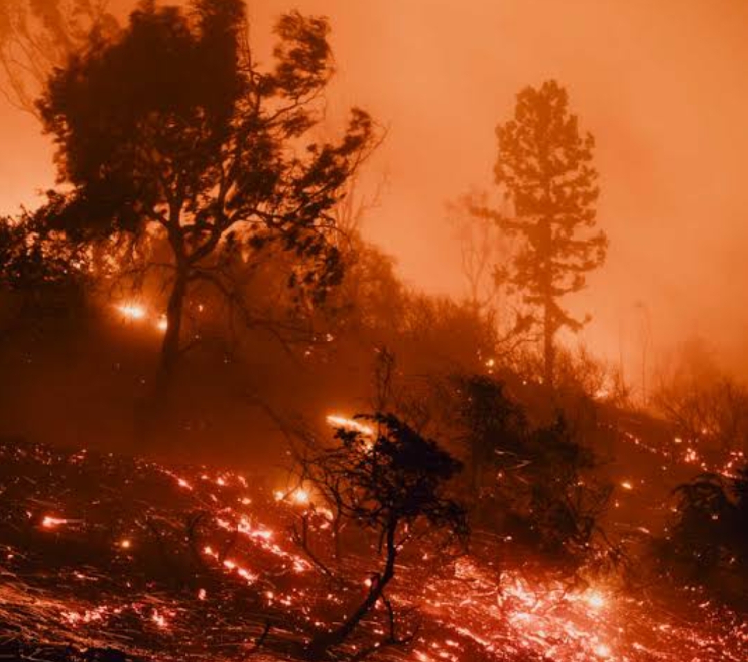 California Wildfire: New Blaze Forces Thousands to Evacuate in Los Angeles Region