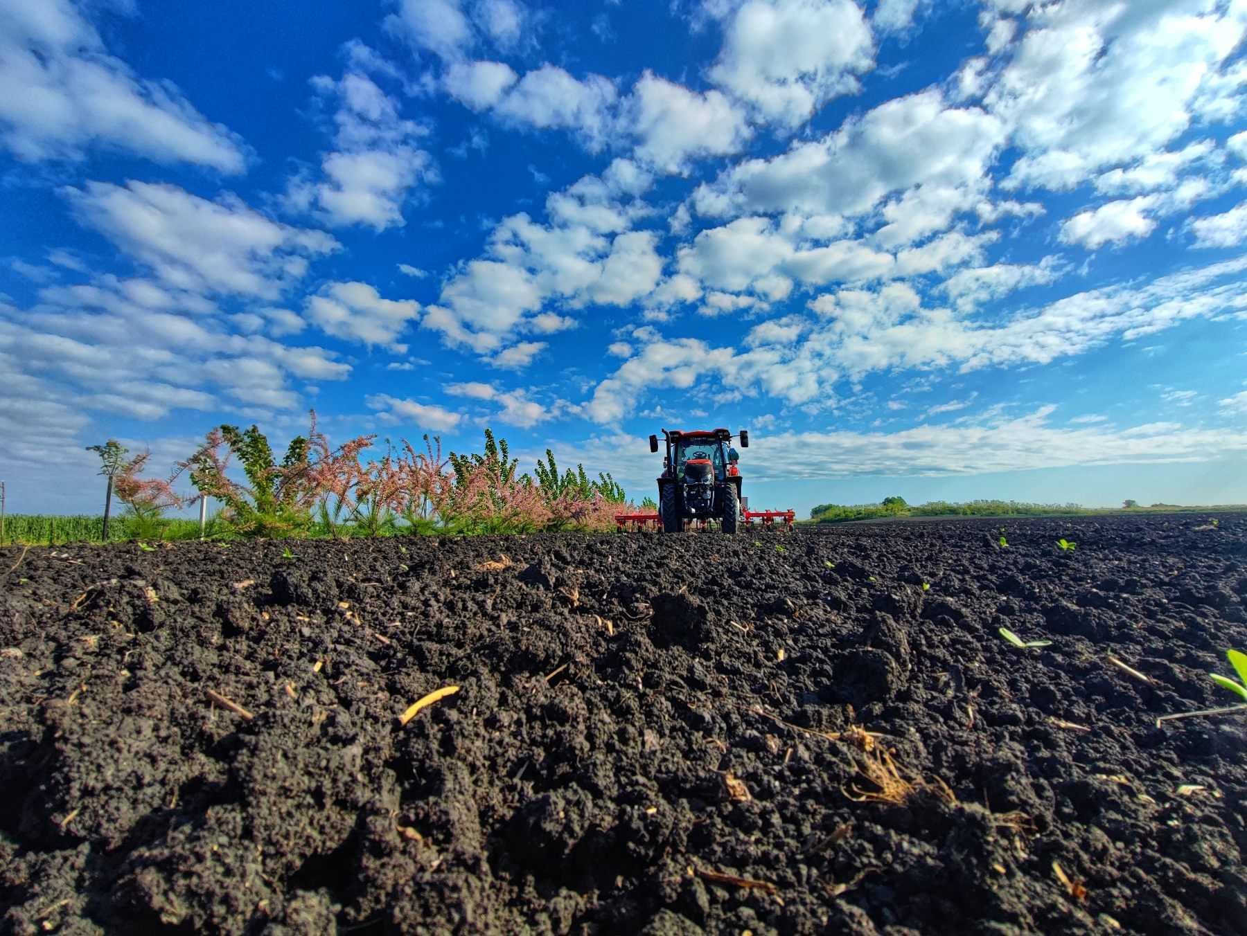 Organic Farming Techniques for Weed Management Without Chemicals: Sustainable Solutions for a Healthier Harvest 679b149953981-organic-farming.jpg