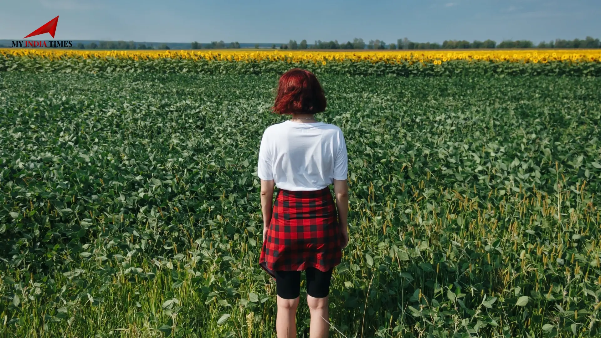 The Rural-Urban Health Divide: Why Rural Americans Face Shorter Life Expectancies 67ada79b88230-Rural-Americans-dont-live-as-long.webp