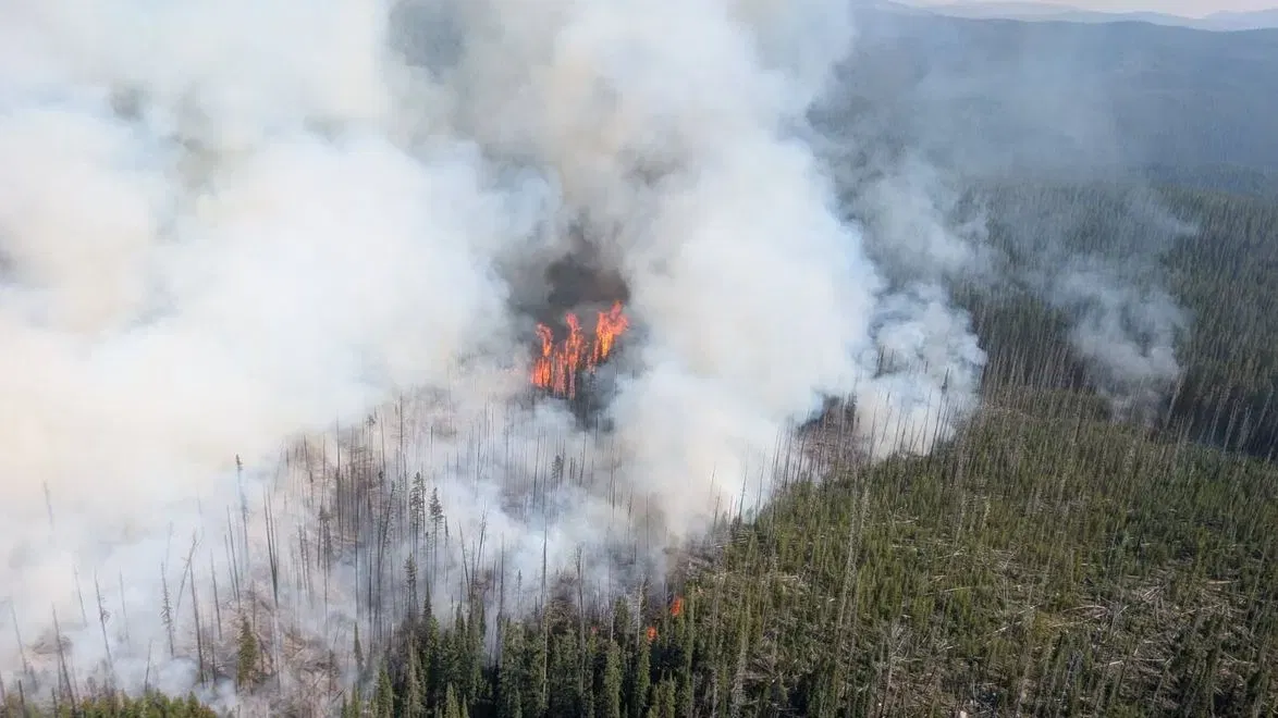 Reno Moose Ridge Fire: Large Vegetation Fire Spreads Across Washoe County in Nevada